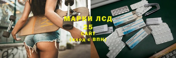apvp Ельня