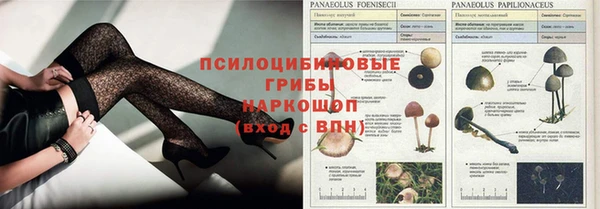 мескалин Елизово