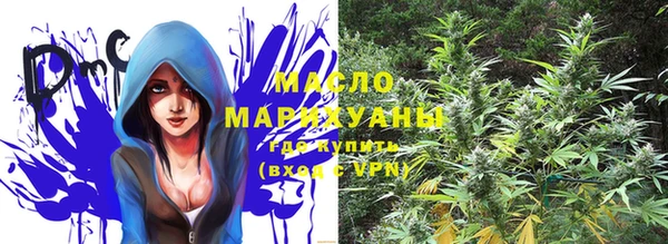 apvp Ельня