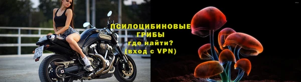 apvp Ельня
