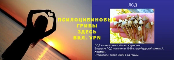 а пвп мука Елабуга