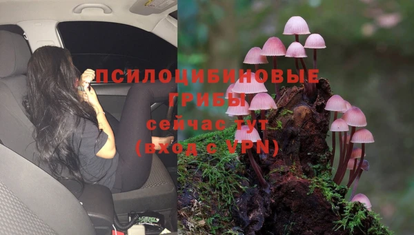 мескалин Елизово