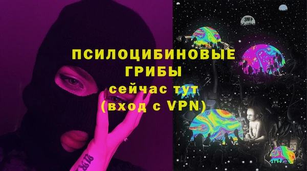 apvp Ельня