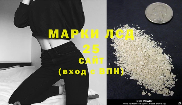 apvp Ельня