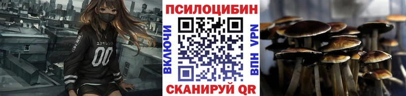 Купить где  Саяногорск  Галлюциногенные грибы Cubensis 